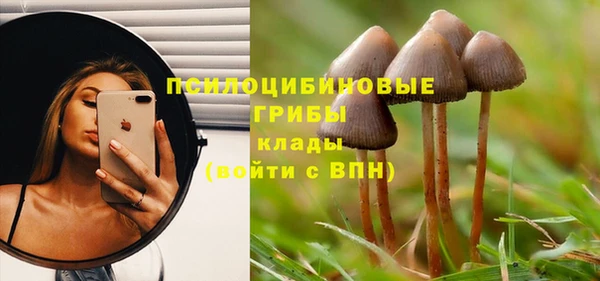 соль курить ск Горнозаводск