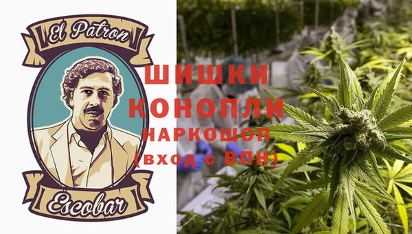 МДПВ Горно-Алтайск