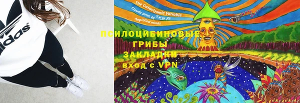 МДПВ Горно-Алтайск