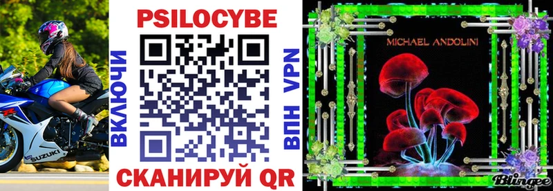 Псилоцибиновые грибы Cubensis  Мостовской 